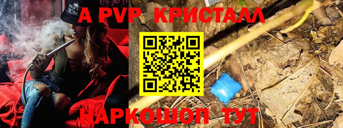 Alpha-PVP СК КРИС  Вход с VPN  Альфа ПВП СК  Малгобек  Alpha PVP крисы CK 