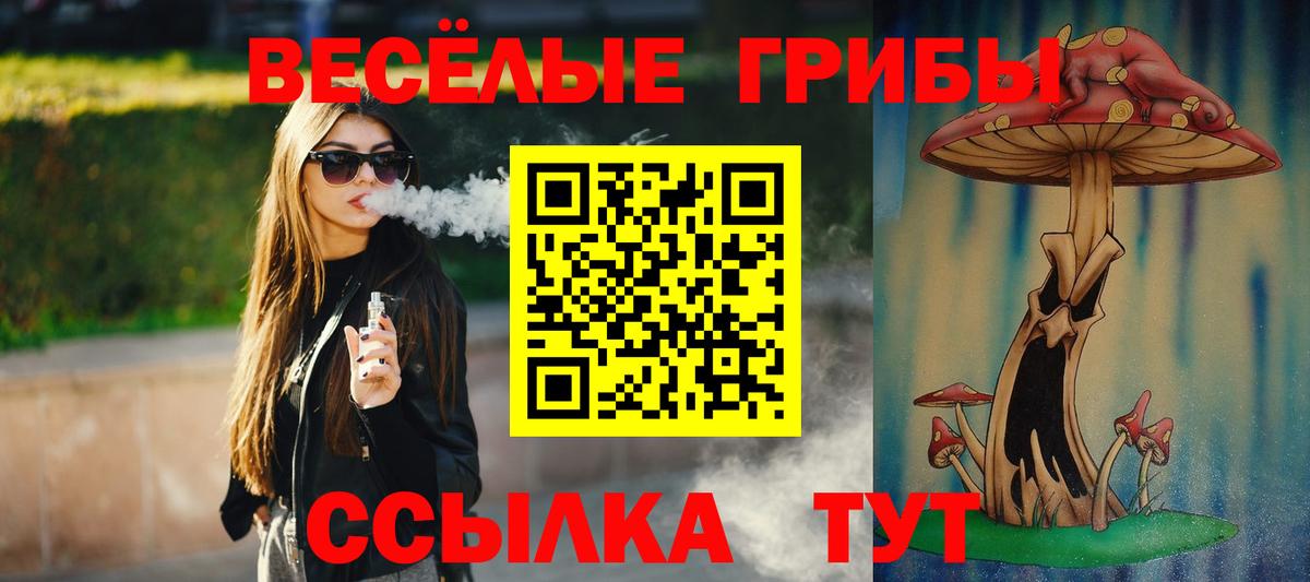 Галлюциногенные грибы Psilocybine cubensis  продажа наркотиков  Малгобек  Вход с VPN 